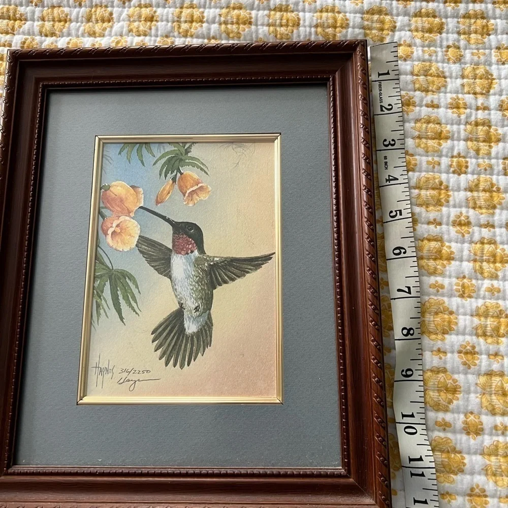 Hummingbird Watercolor by Haynes Framed